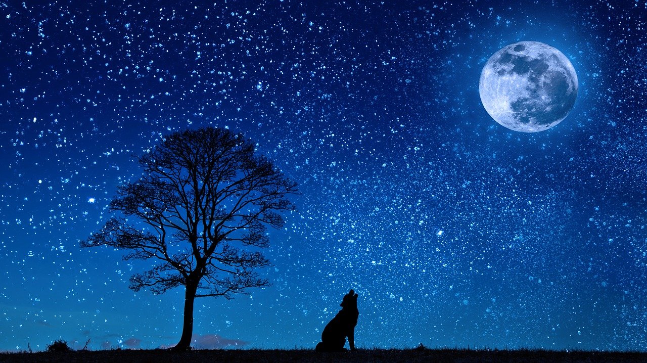 夜に最高度に達する魔術的エネルギー by天空オフィシャルブログ所蔵画像