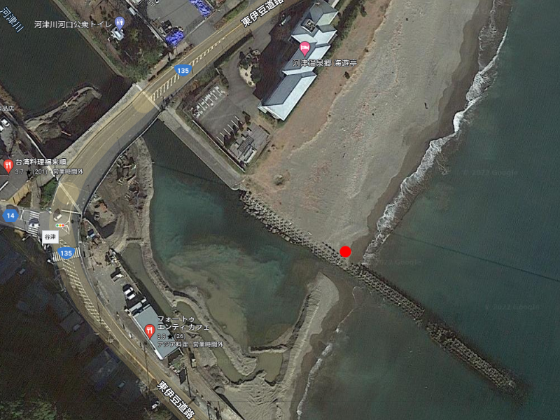 河津浜海岸 航空写真 Google
