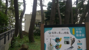 すぐ北隣の名古屋市野鳥観察館