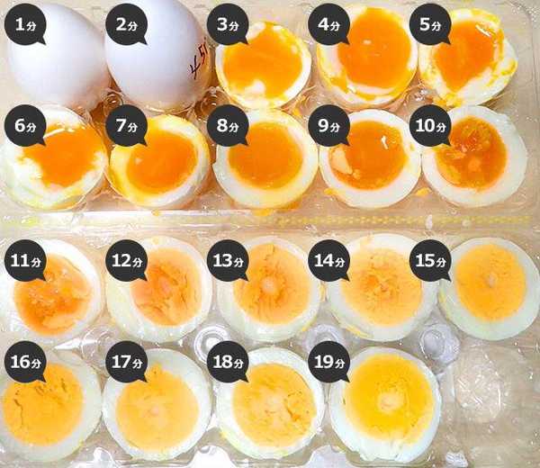 egg_nutrition2.jpg