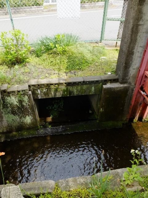 干無川の取水ゲート