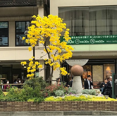 阪神・元町駅前イペー