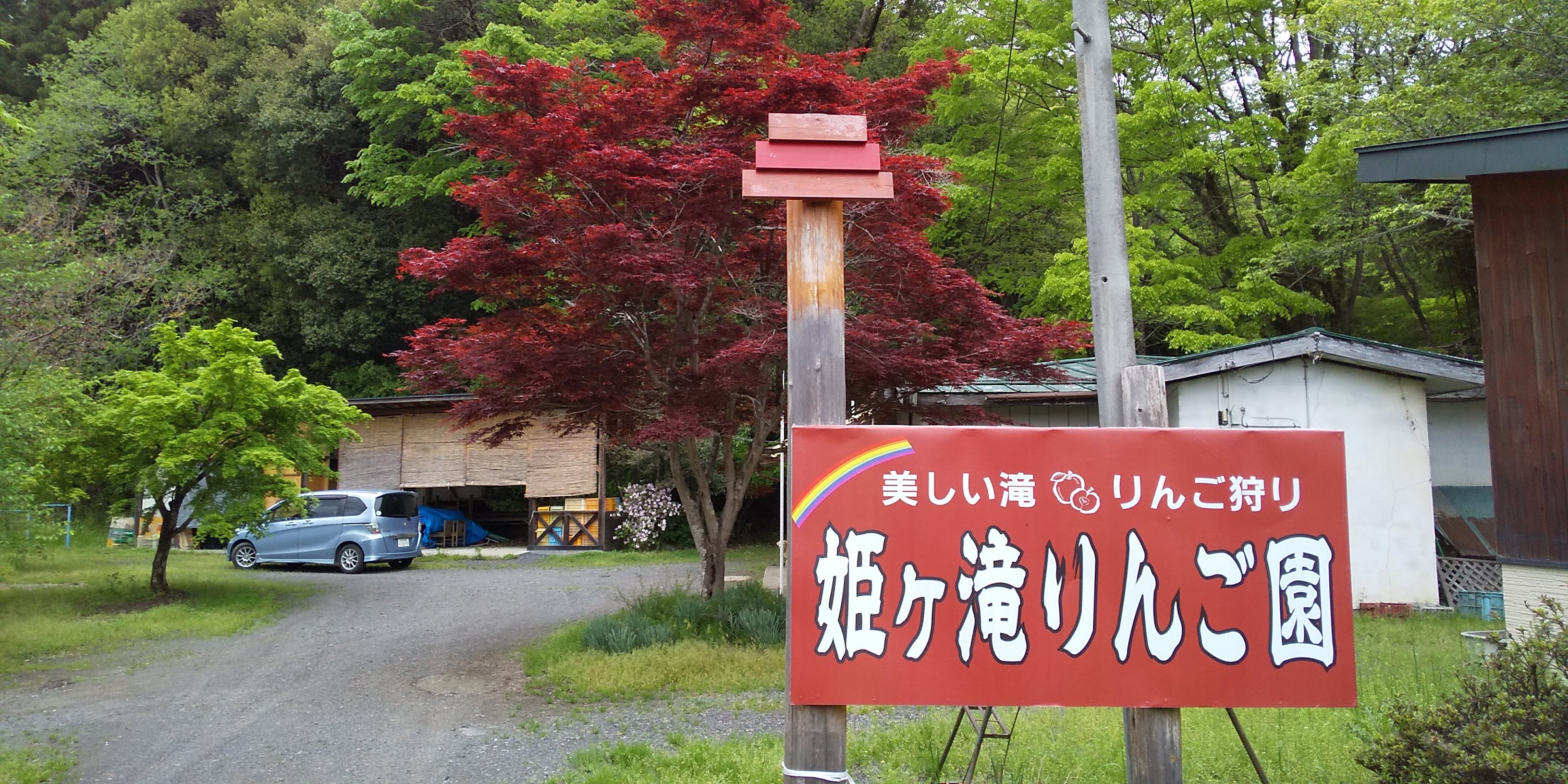 姫ヶ滝りんご園合宿報告06