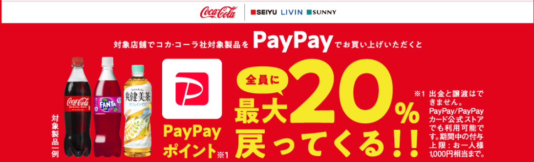 paypayseiyuccl20pkg229.png