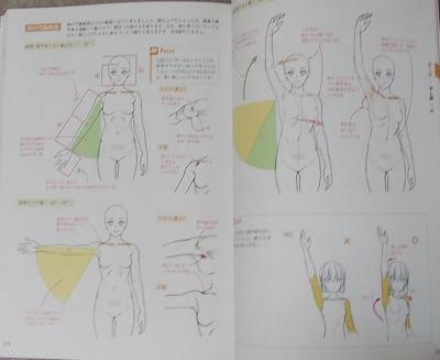 一気に画力が上がる！身体の描き方＆解剖事典 (11)