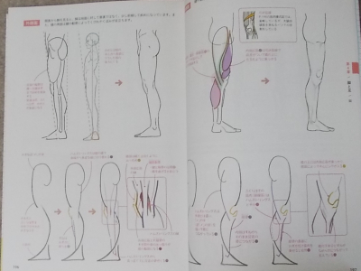一気に画力が上がる！身体の描き方＆解剖事典 (14)