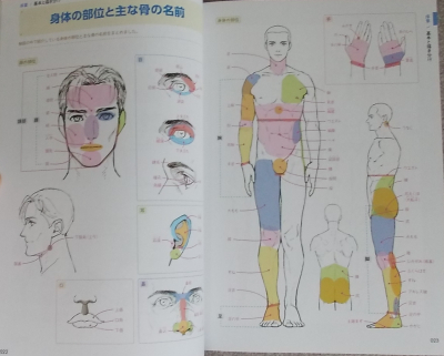 一気に画力が上がる！身体の描き方＆解剖事典 (2)