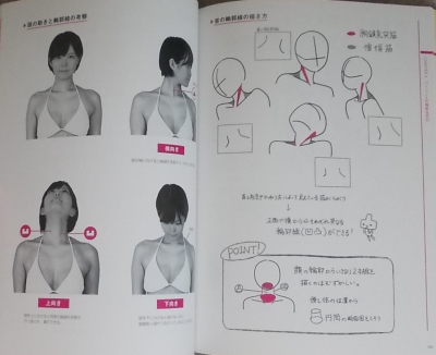 女体の凸凹図鑑脂肪と産毛が作る陰影と曲線 (6)