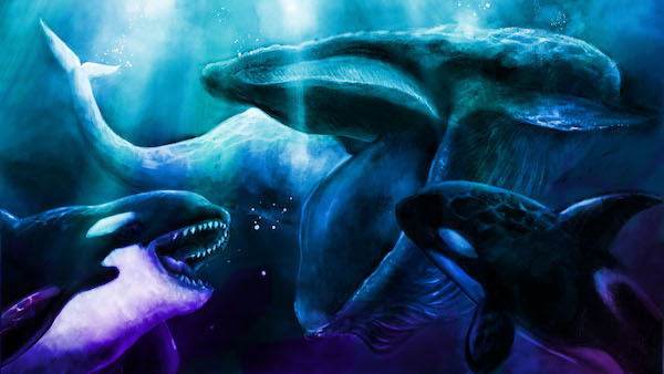 2022_海とクジラ (1)