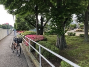 2022/6/4境川自転車道
