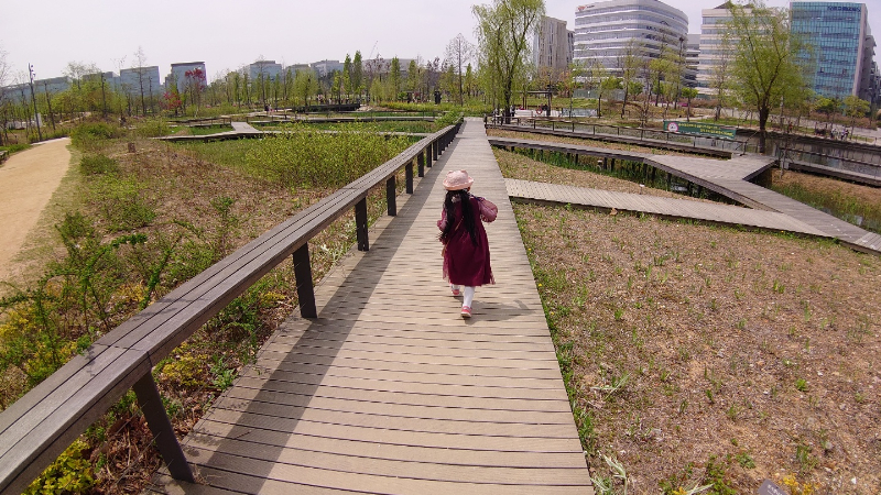 ソウル植物園 (40)