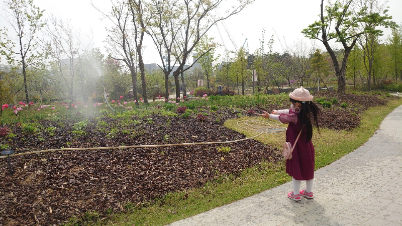 ソウル植物園 (9)