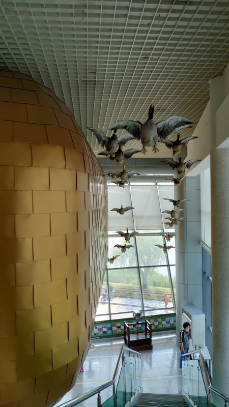 義王鳥類生態科学館 (21)