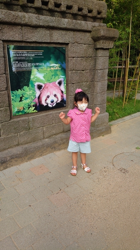 韓国,ソウル動物園 (28)