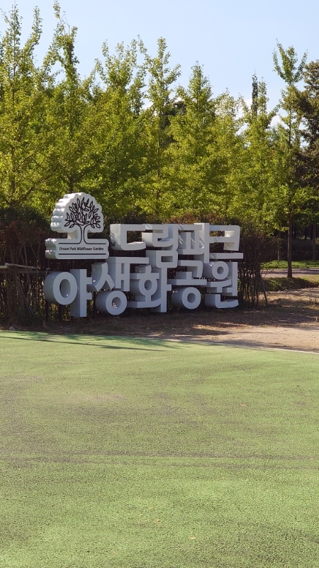 野生花団地ドリームパーク,韓国,インチョン (19)