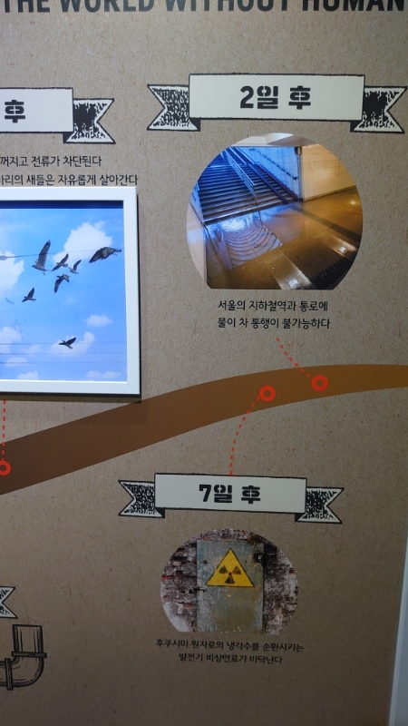 ソウル市立科学館,韓国 (11)