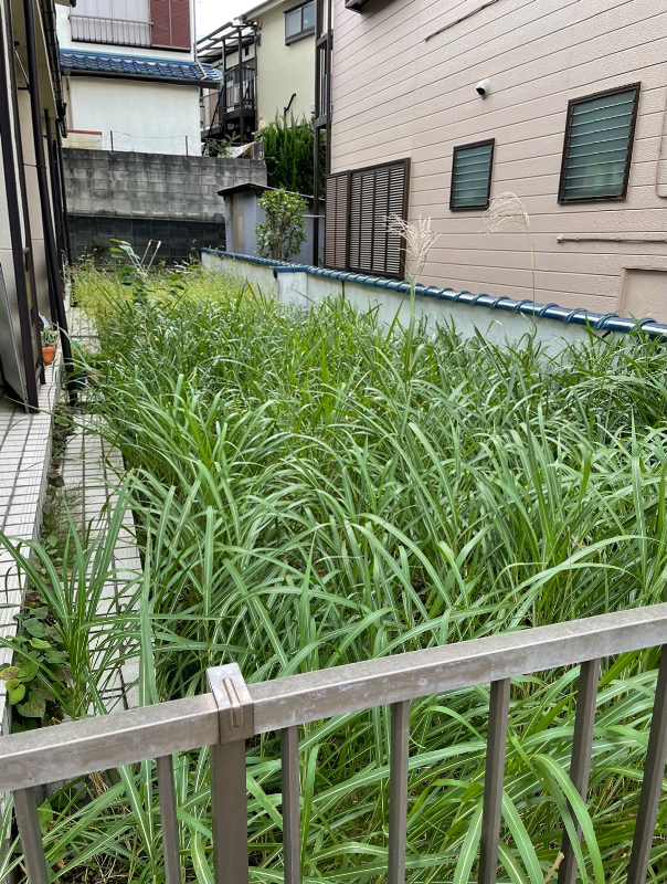 アパートの庭の草刈り
