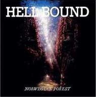 hell_bound-norwegian_forest1.jpg