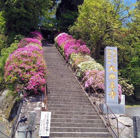 265興善寺古写真：佐賀県の大興善寺