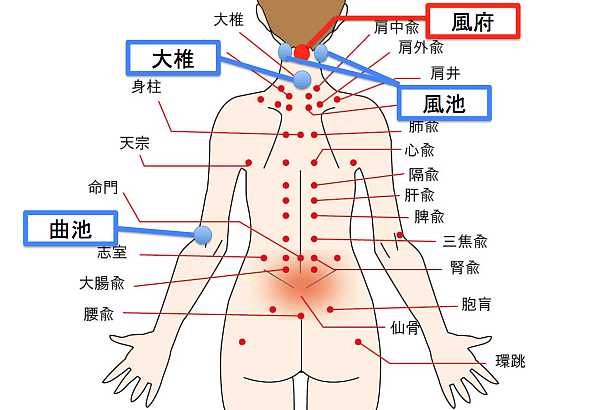 Whole_body_acupuncture_points.jpg