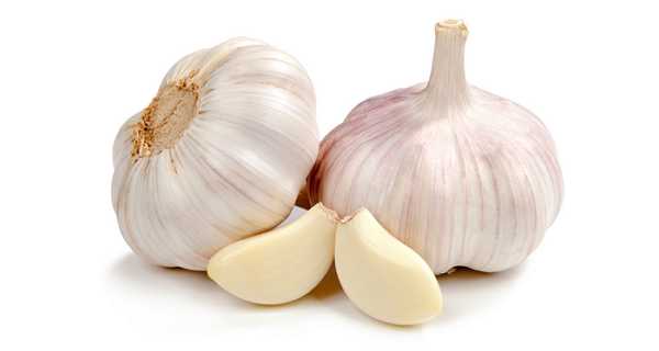 garlic29.jpg