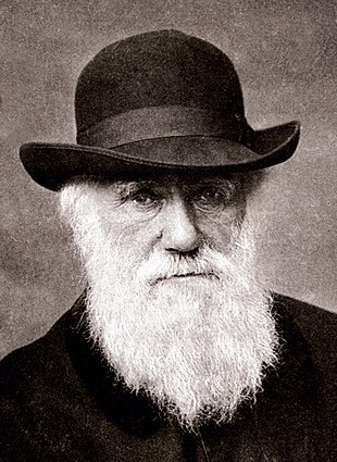 Charles_Darwin_1880.jpg