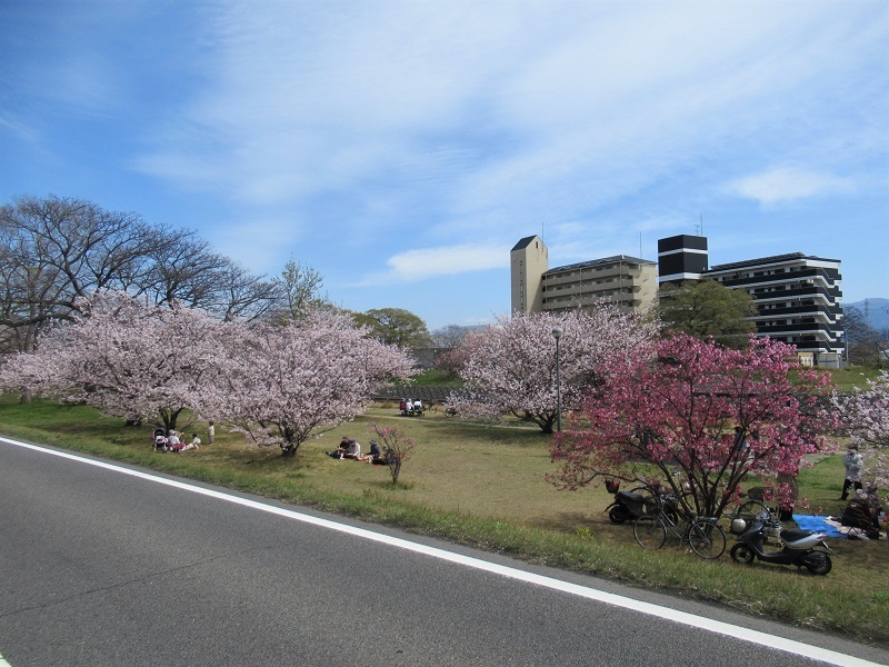 桜の季節0404 (2)