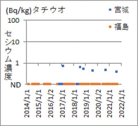 宮城県産では見つかっても福島産タチウオからは見つからないセシウム