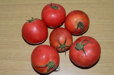 tomato081801.jpg