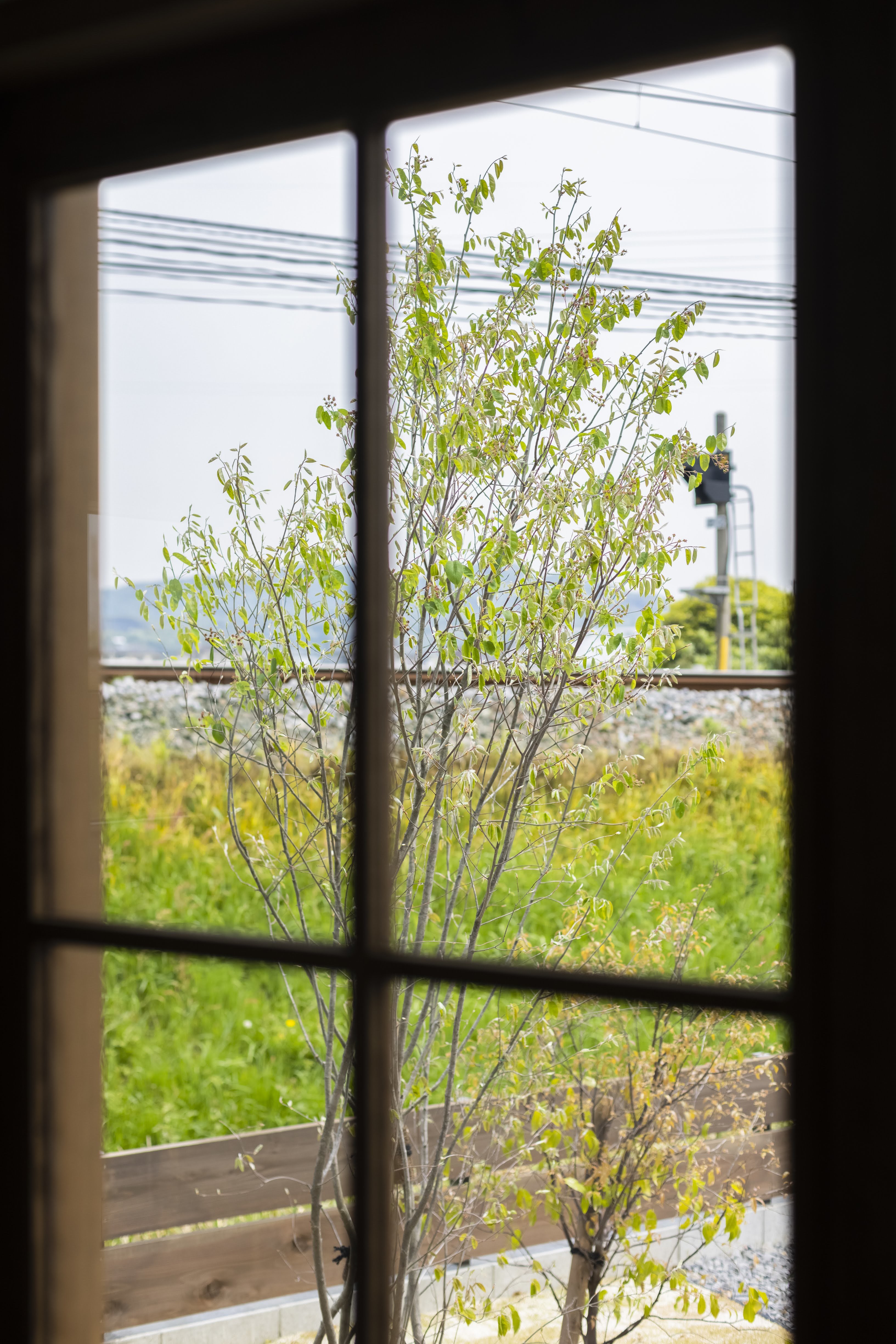 窓から植栽