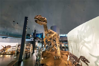 福井県立恐竜博物館 割引