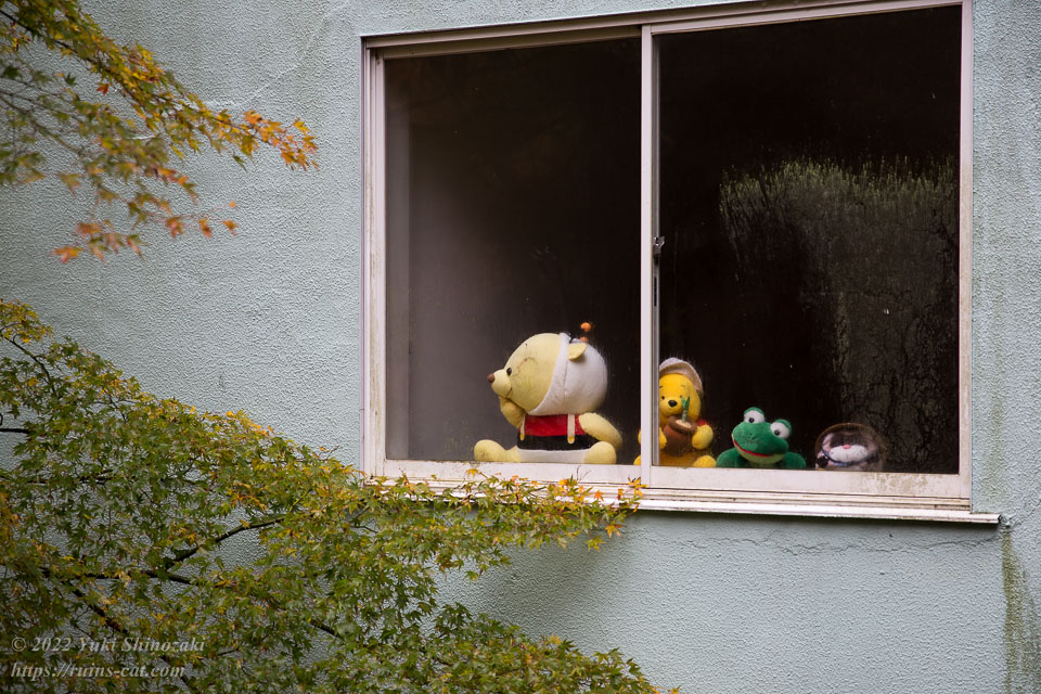人形が並んで外を見ているペンションきんこんかんの窓辺