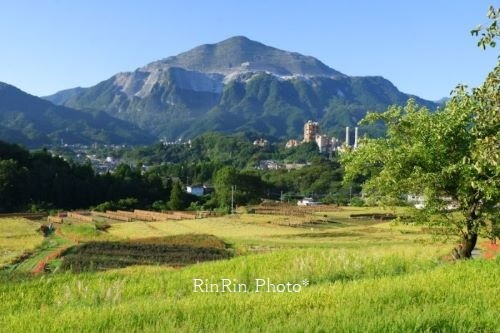 2021年９月寺坂上段から見る武甲山