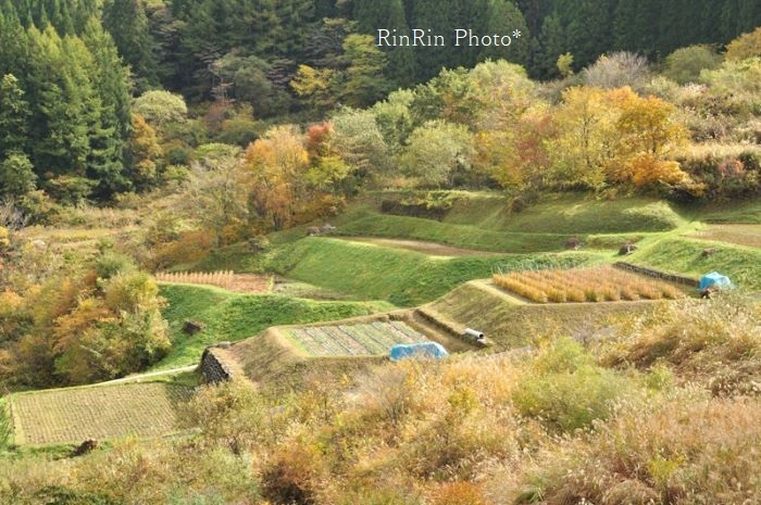 2013年10月鬼無里村の段々畑