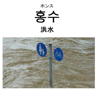 洪水のコピー