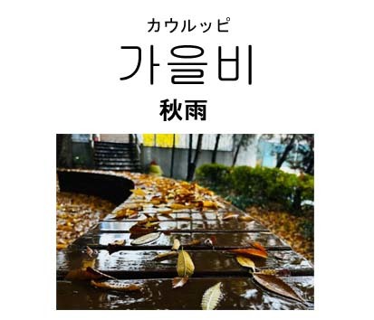 秋雨のコピー