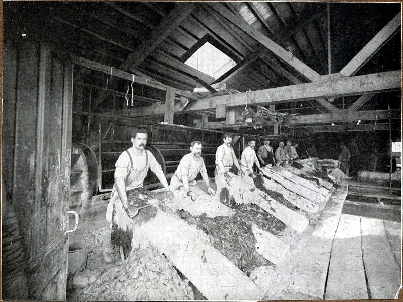 リン2移民は、1890 年にマーケット ストリートのふもと近くのなめし工場で働いていたこれらの男性のように、皮革労働者の間で特に一般的でした