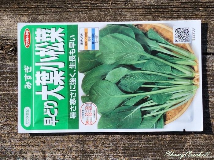 2022-08-10小松菜 (1)