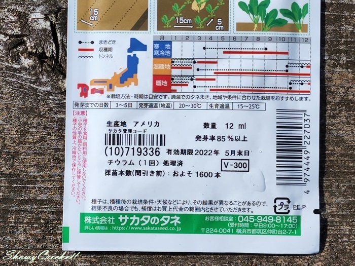 2022-08-10小松菜 (3)