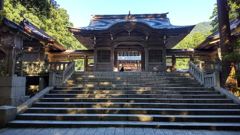 弥彦神社④階段と社殿2207