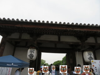 京都東寺