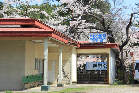 芦野公園の桜2022-19