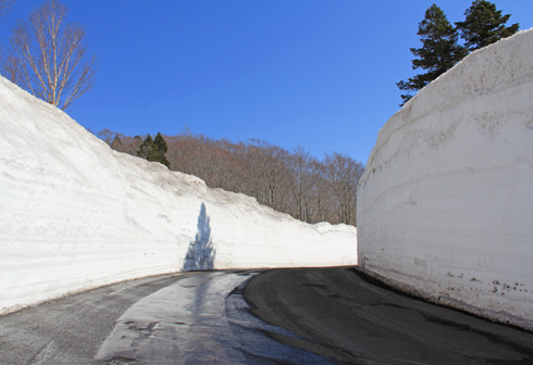 八甲田雪の回廊2022-5